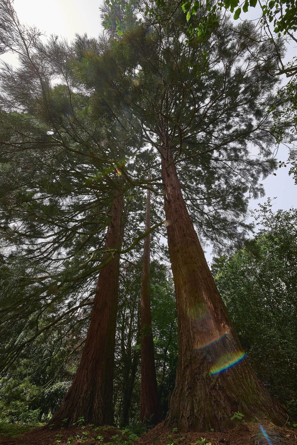 Hiking