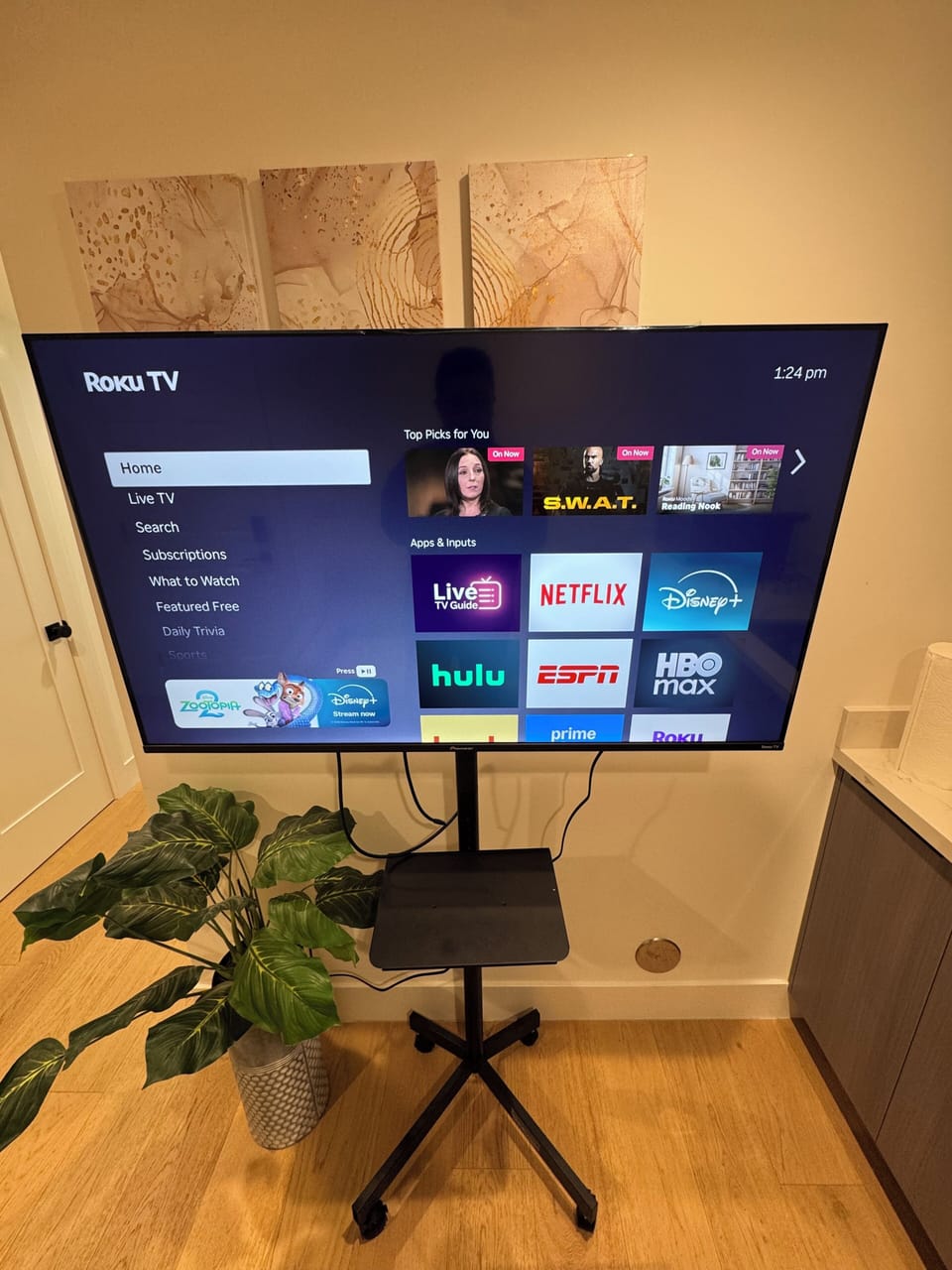 Television