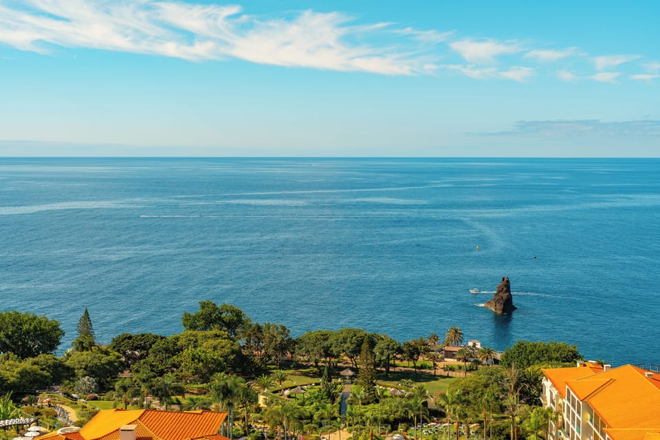 Explore the coastline and parks unfolding right below your stay.