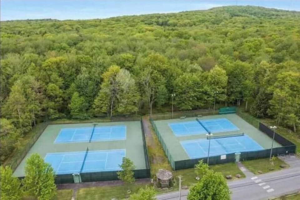 Sport court