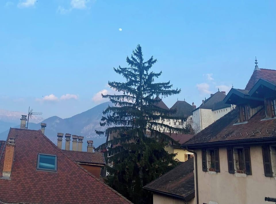 Enjoy mountain vistas and old town rooftops from your window in Annecy