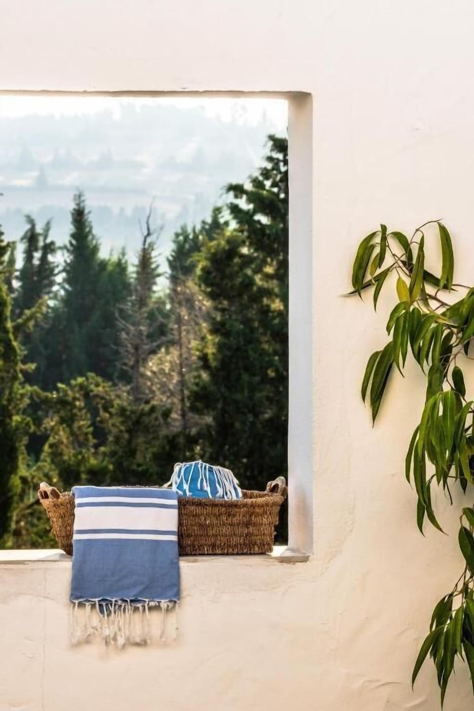 Deluxe Double Room | Terrace/patio