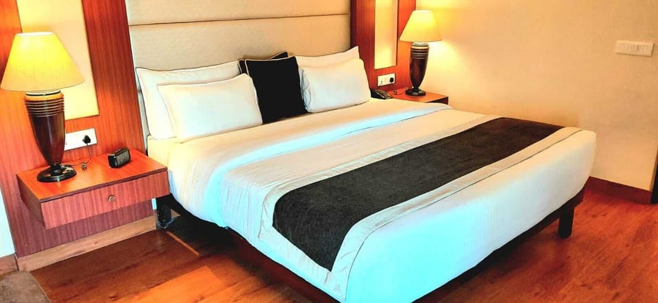 Luxury Suite | Iron/ironing board (on request), WiFi (free)