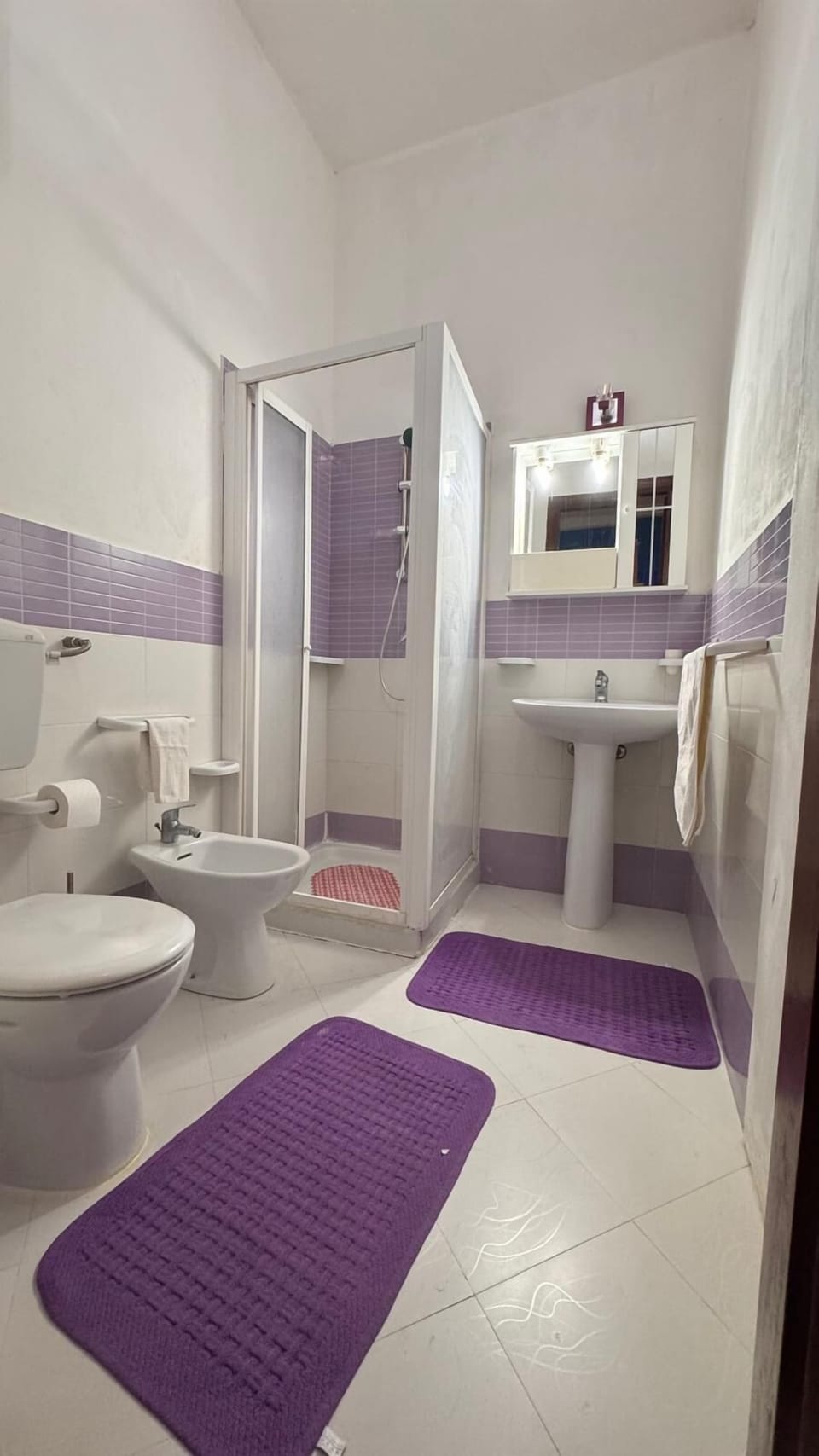 Shower, free toiletries, hair dryer, bidet