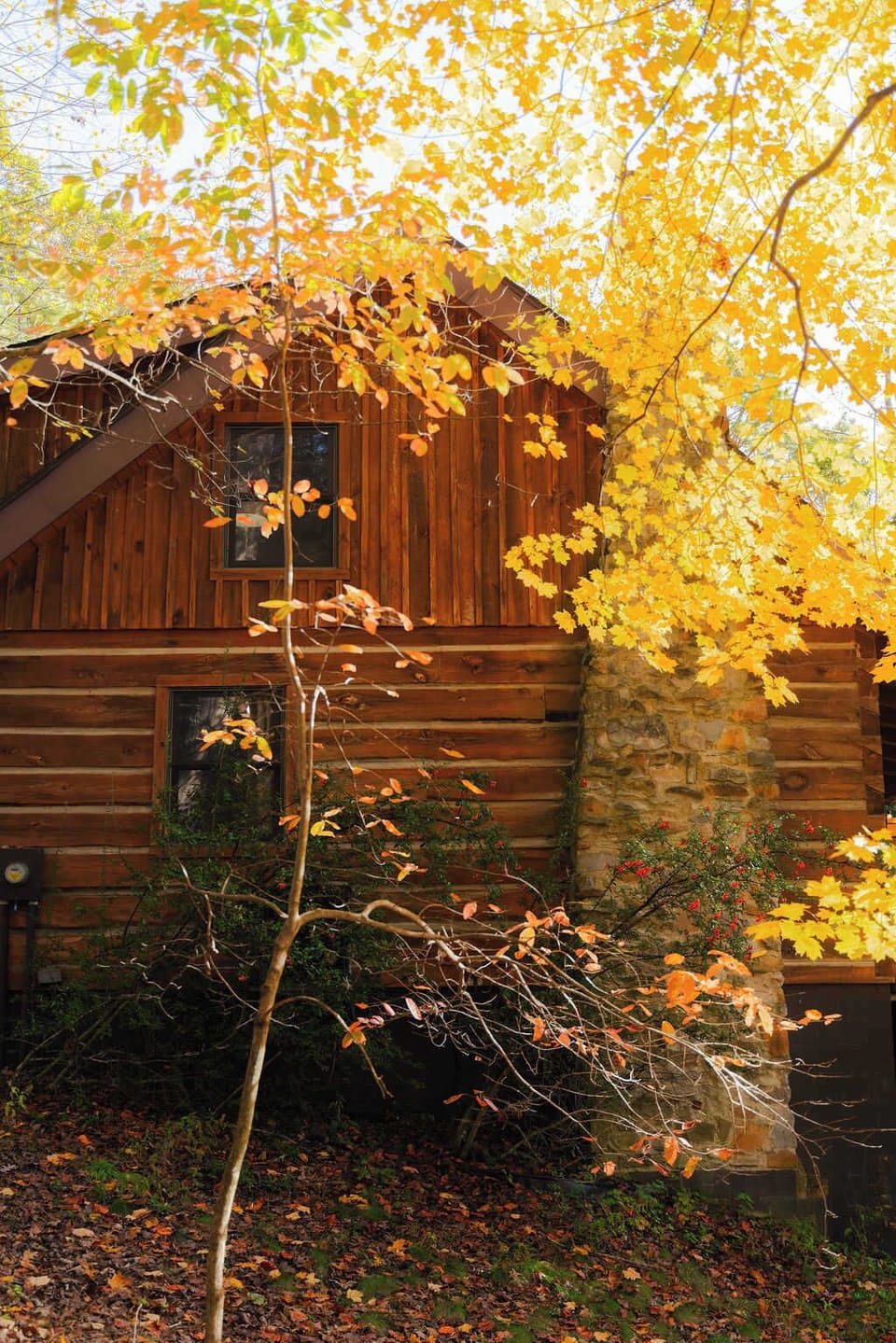 Exterior: Embrace nature’s palette with vibrant foliage and rustic charm in Rockbridge!