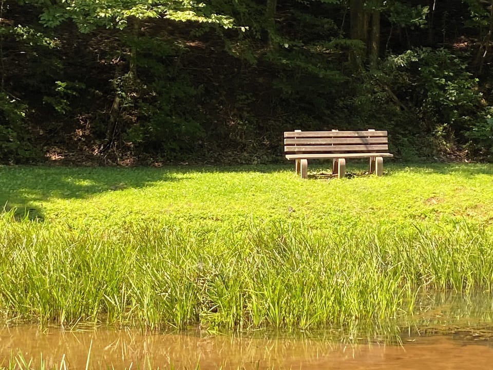 Enjoy sitting by the pond enjoying the abundant wildlife