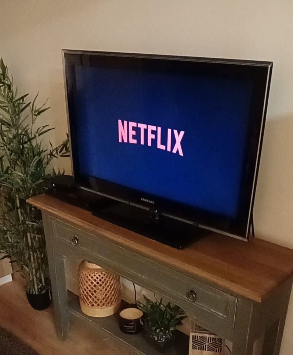 Television