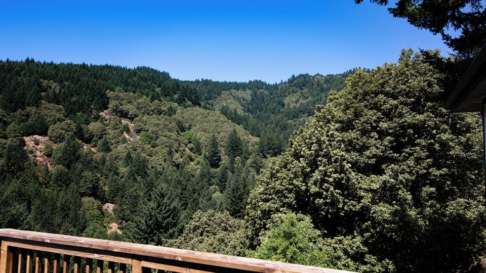 The King Range National forest boarders the property. 