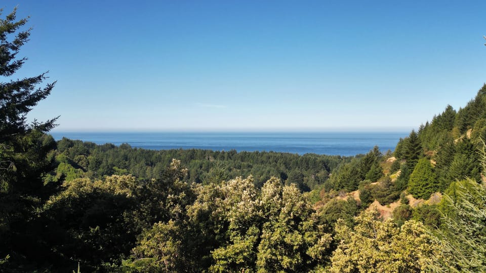 The view from the 1300 sq ft deck