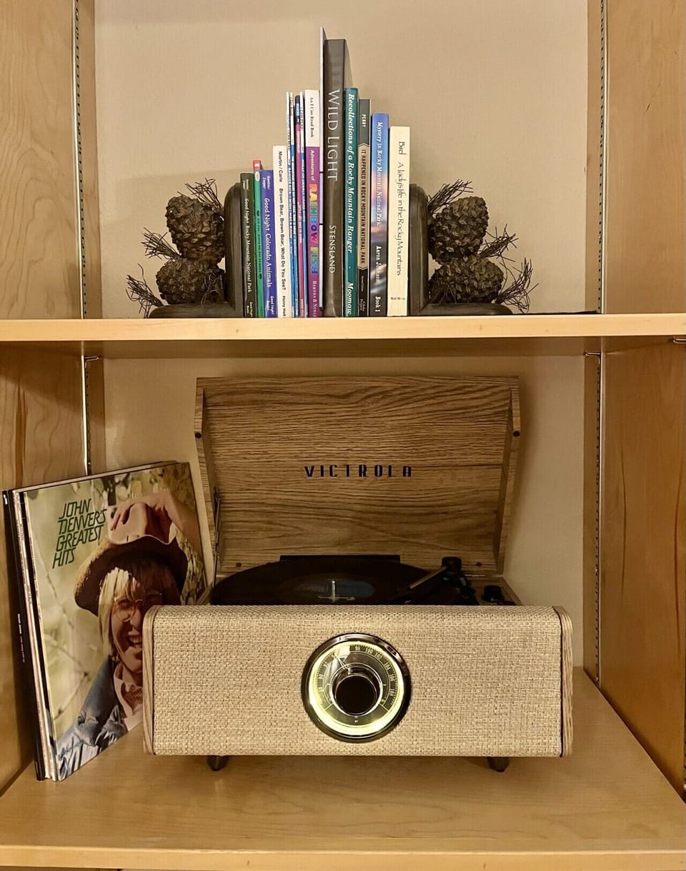 Vinyl records and books for relaxing evenings