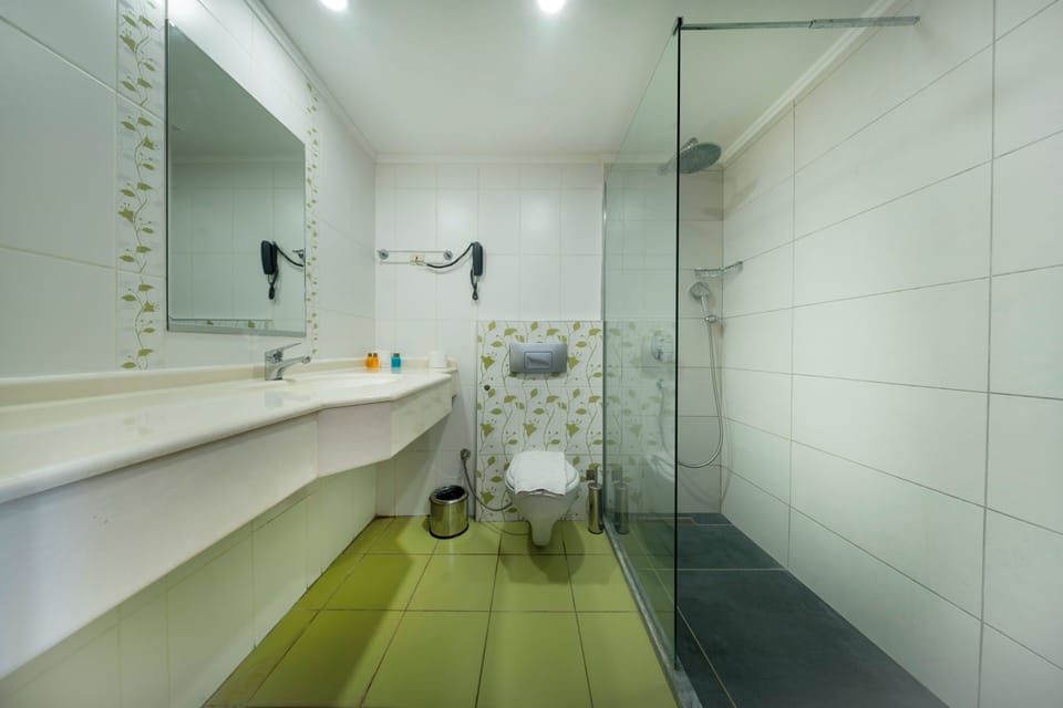 Shower, free toiletries, hair dryer, slippers