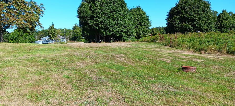 Side lawn, trees and fire pit
