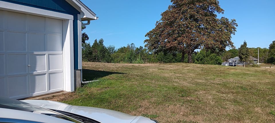 Lawn with garage