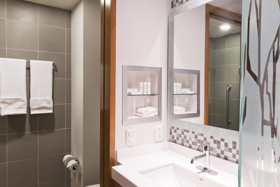 Shower, hair dryer, bathrobes, towels