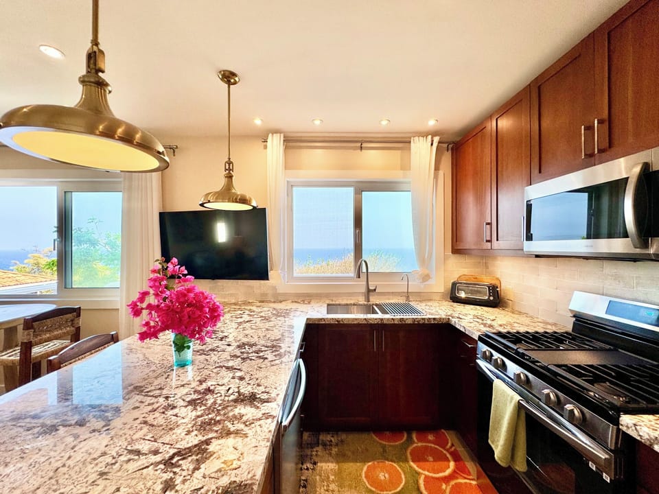 Garden Suite Kitchen (2)