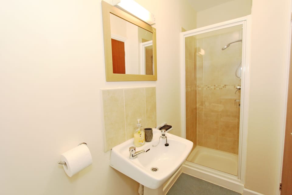 Double Room | Bathroom | Shower, hair dryer, towels