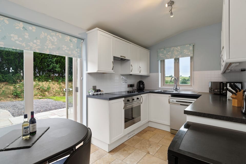 Deluxe Apartment, 1 King Bed, Mountain View | Private kitchen | Coffee/tea maker, fridge, electric kettle