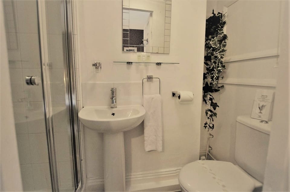 Standard Twin Room | Bathroom | Shower, hair dryer, towels