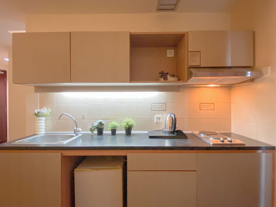 Standard Apartment | Private kitchen