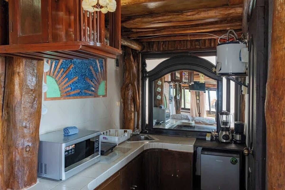 Kitchenette with stovetop and mini fridge