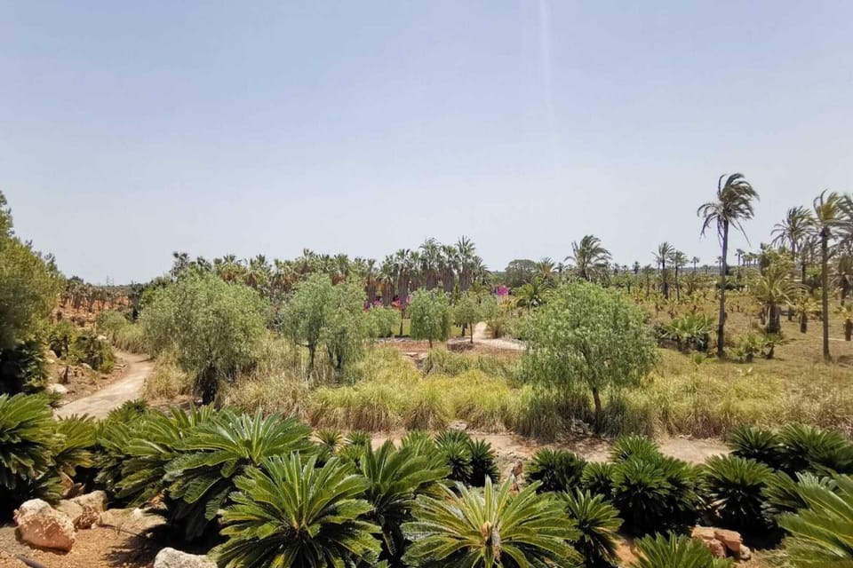 Surroundings [summer] (1-5 km)