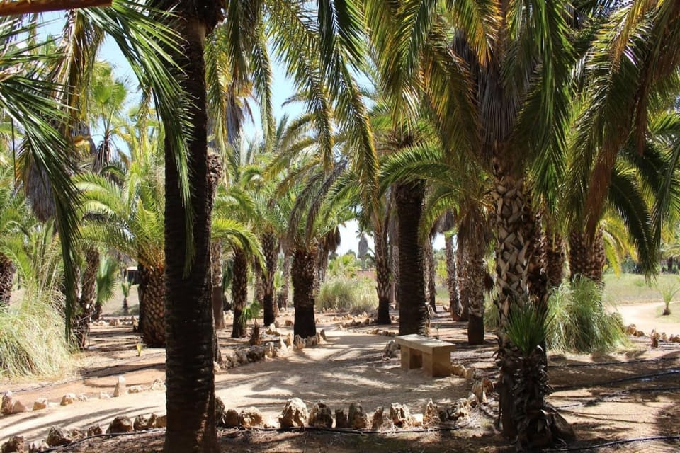 Surroundings [summer] (1-5 km)
