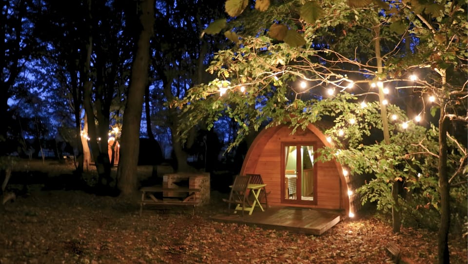 Fairy Lights