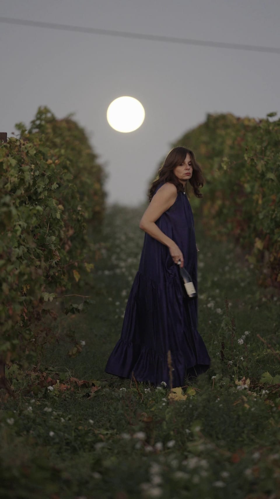 Vineyard