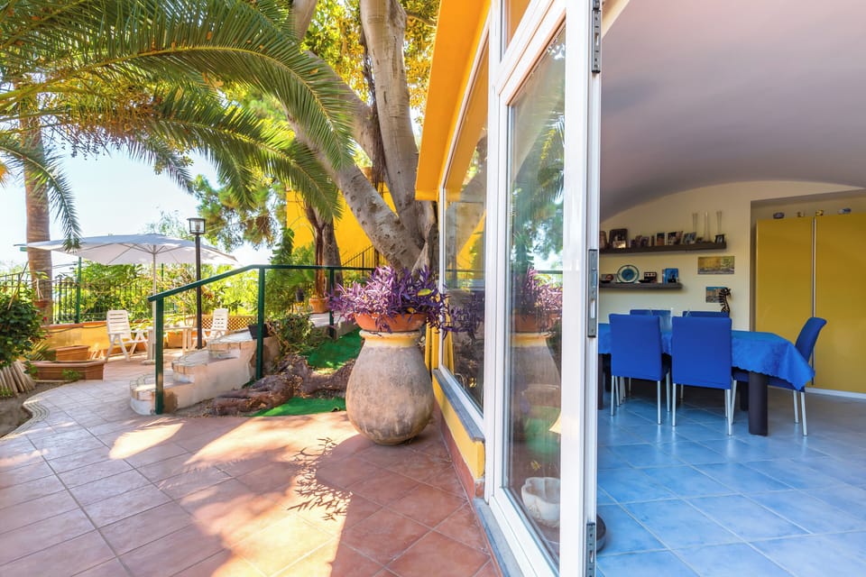 Apartment (1 Bedroom) | Terrace/patio