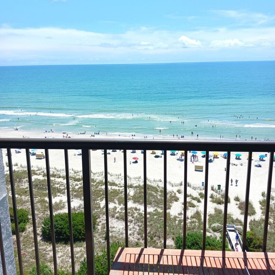 Beach Colony (3)