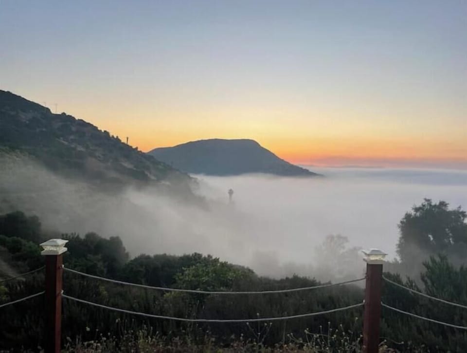 Morning view from patio