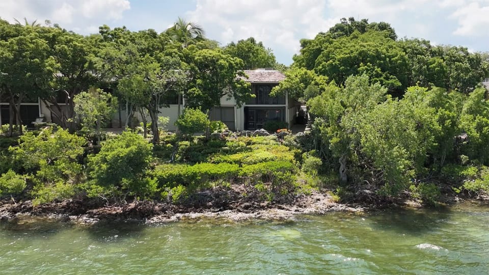 Your Very Own Water View Looking Back