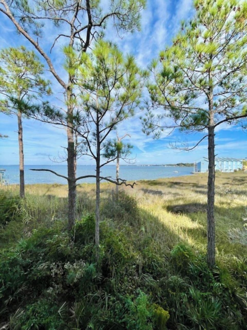 Bayside Days, Innerarity Townhomes, Perdido Key FL