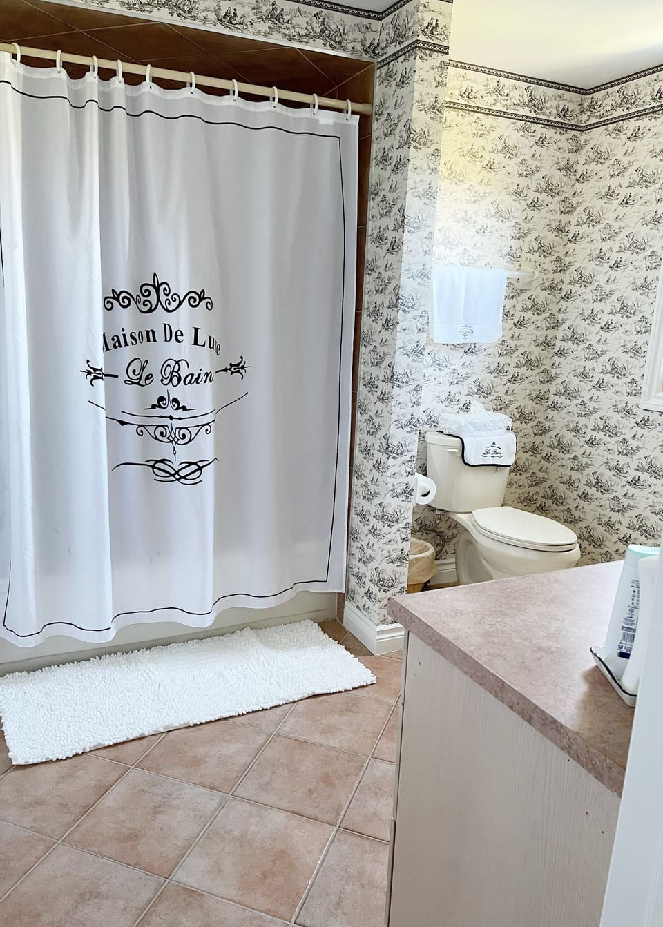 Free toiletries, hair dryer, towels