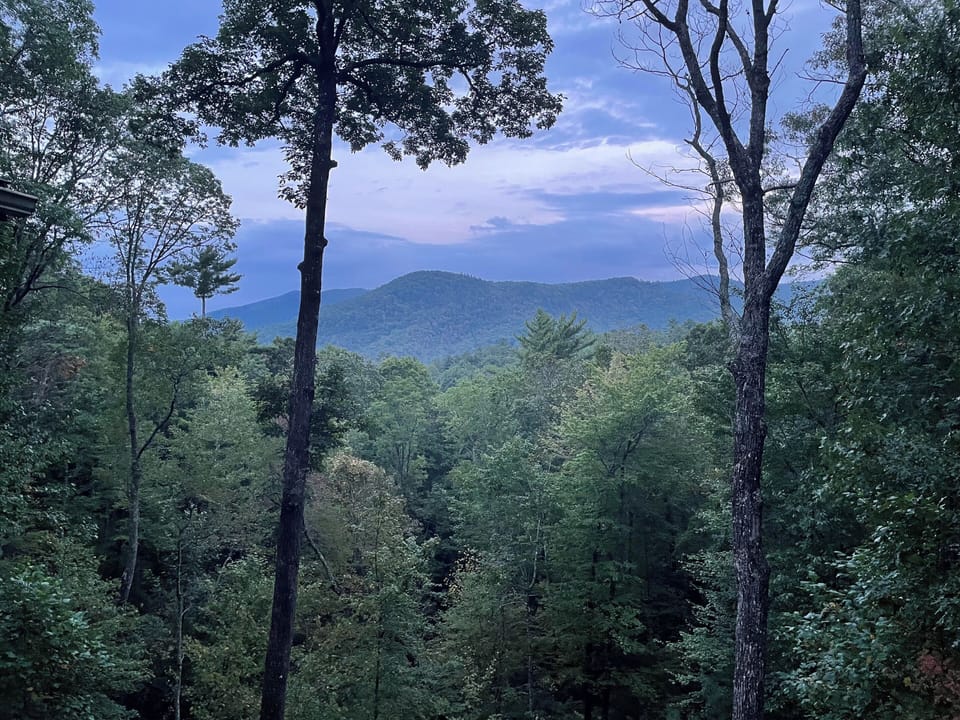 View from Lower Porch