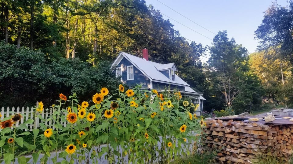 Front of house. 