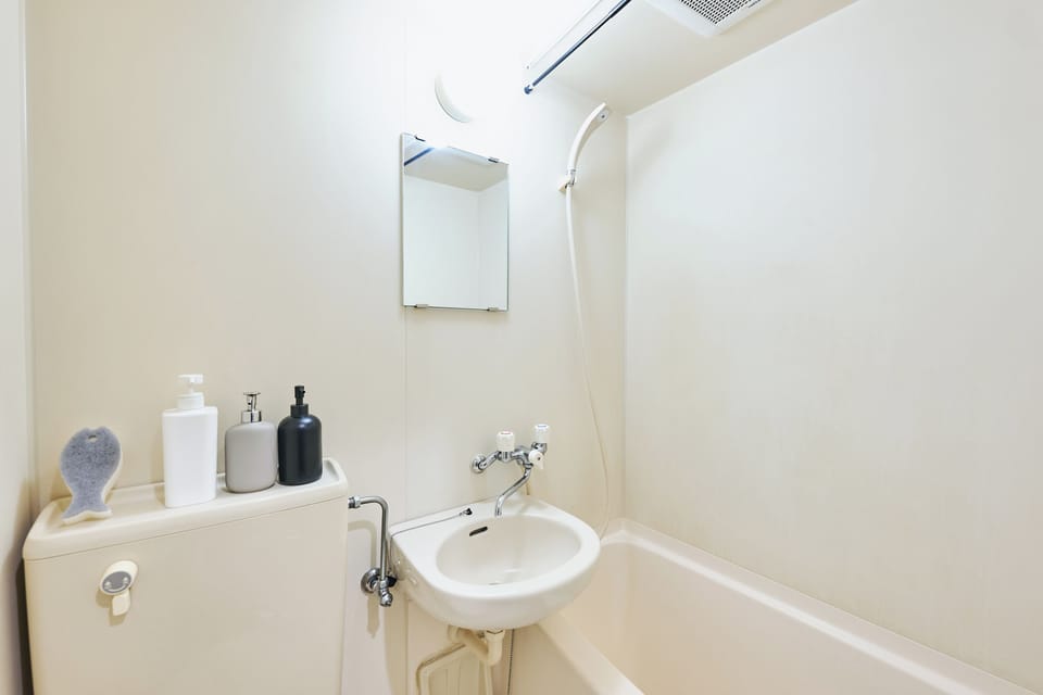 Basic Apartment, City View | Bathroom | Slippers