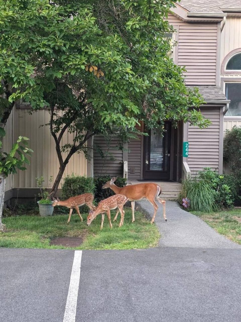 Front of home