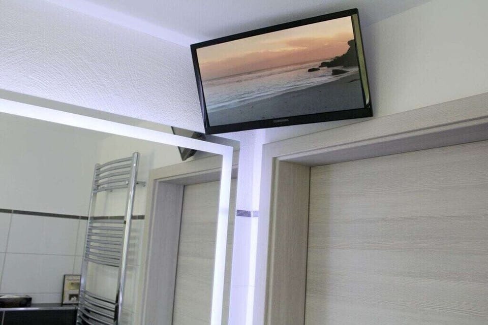 Television