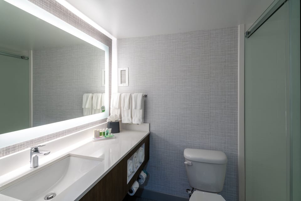 Combined shower/tub, free toiletries, hair dryer, towels