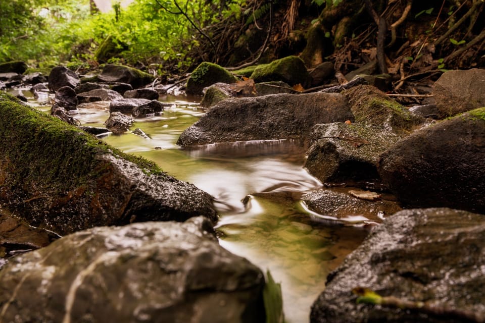 Year round creek flow along the front of the cabin
