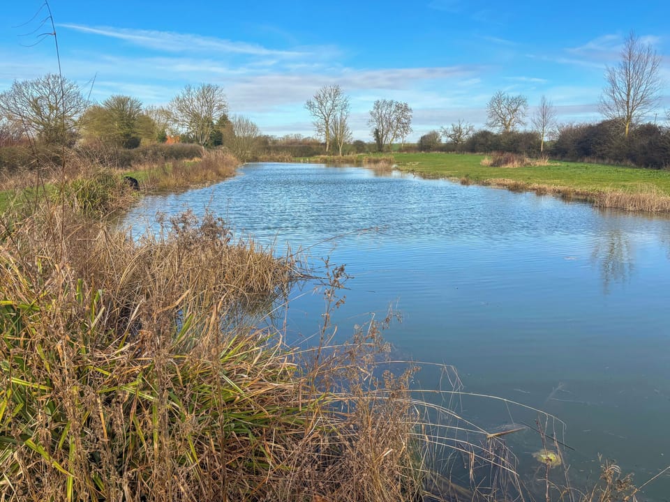 beautiful lake ideal for fishing, relaxing , picnics or just watching the wildlife | Willow Cottage - Framlingham Retreats, Framlingham