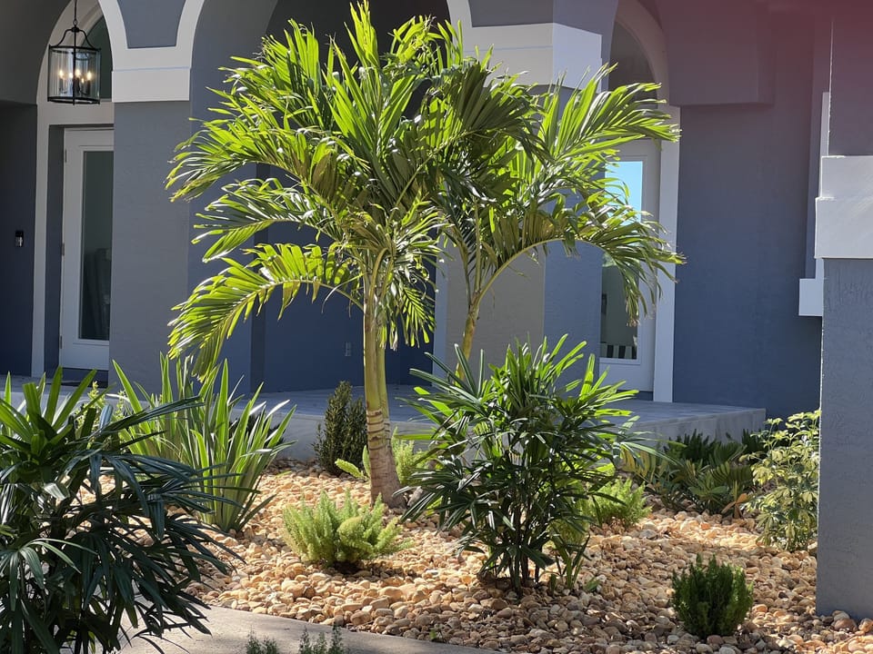 House, 3 Bedrooms | Property grounds