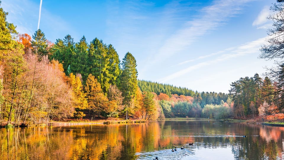 Head out for a day fishing or stroll the forest, keeping an eye out for wild boar.