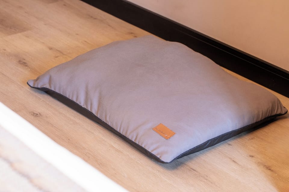 Superior PET | In-room safe, free WiFi