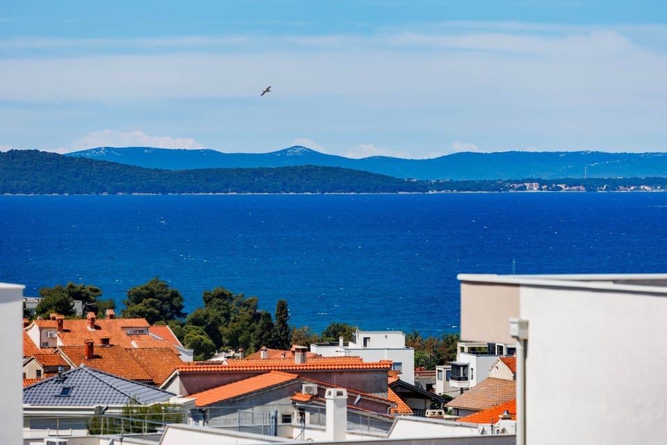 OKUCNICA (13)
