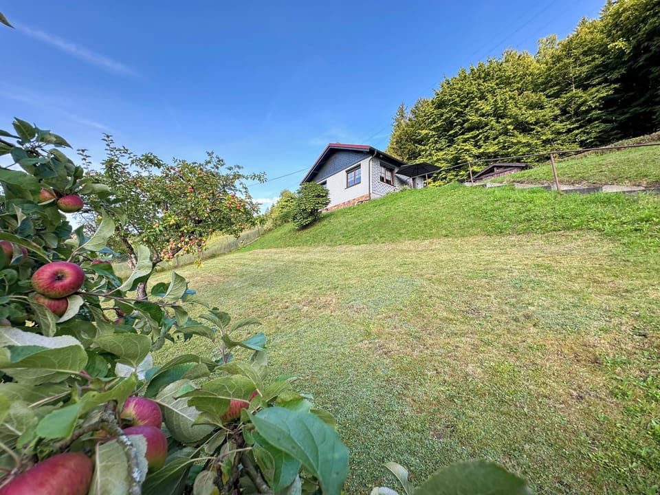 Holiday Home Exterior [summer]