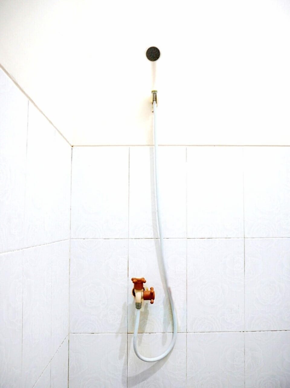 Economy Double Room | Bathroom | Shower