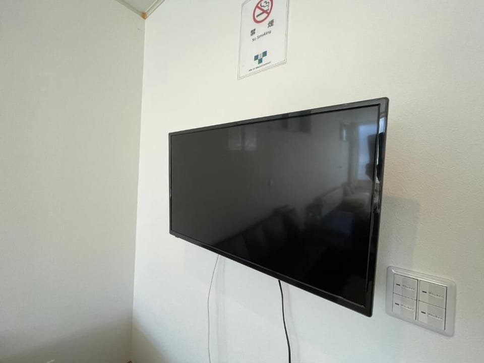 Flat-screen TV