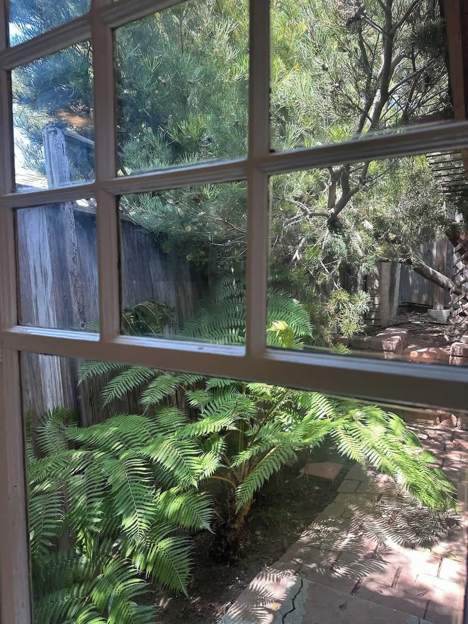 Window view with greenery and natural light